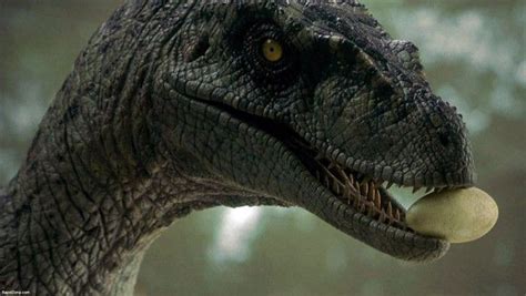 which raptor from jp jw series resembles you quiz