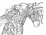 Coloring Horse Pages Mandala Racing Barrel Horses Adults Printable Zentangle Adult Drawing Sheets Amazing Race Getcolorings Head Girls Colouring Getdrawings sketch template