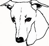 Whippet Drawing Greyhound Line Clip Clipart Clipartmag Awesome Weclipart sketch template