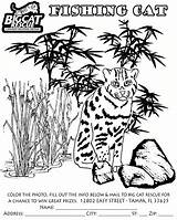 Coloring Hamlet Pages Fishing Cat Getcolorings sketch template