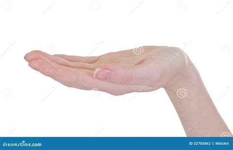 palm  stock photo image  part offer hand female