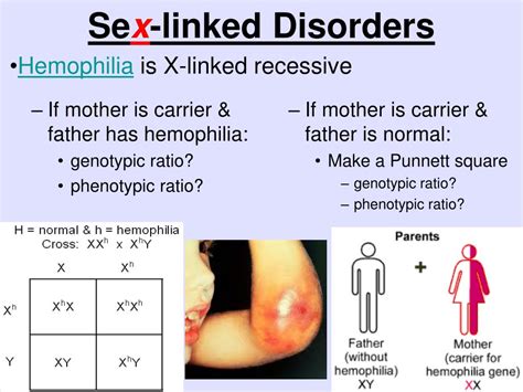 ppt genetics and heredity powerpoint presentation free download id