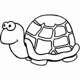 Tartaruga Turtle Tortuga sketch template