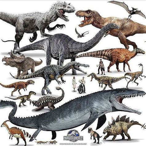 dinosaurs freaks images  pinterest prehistoric animals