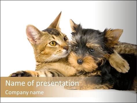 dog  cat powerpoint template resume  gallery
