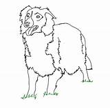 Collie Lineart sketch template