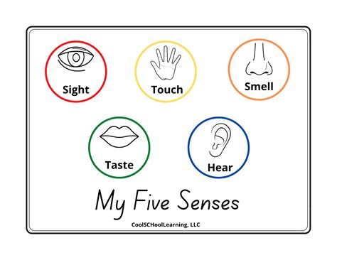 senses printable preschool poster kindergarten readiness etsy australia