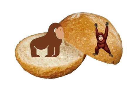 waar komt de term broodje aap verhaal vandaan vrouwenpower