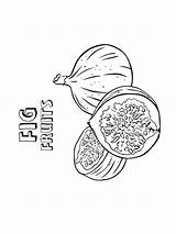 Coloring Pages Figs Fruits Recommended sketch template