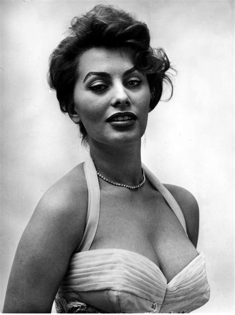 Sofia Loren Sophia Loren Images Sophia Loren Hollywood
