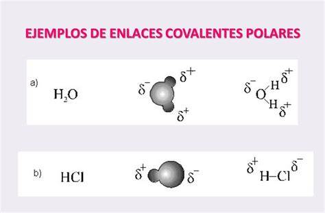 ejemplos de sustancias  enlace covalente polar opciones de ejemplo