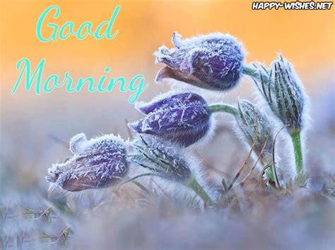 25 winter good morning wishes quotes and images