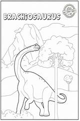 Brachiosaurus Crayons Kidsactivitiesblog sketch template