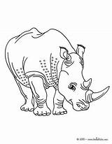 Rinoceronte Rhino Hellokids Nashorn Rhinoceros African Designlooter Horned Línea Imprimir sketch template