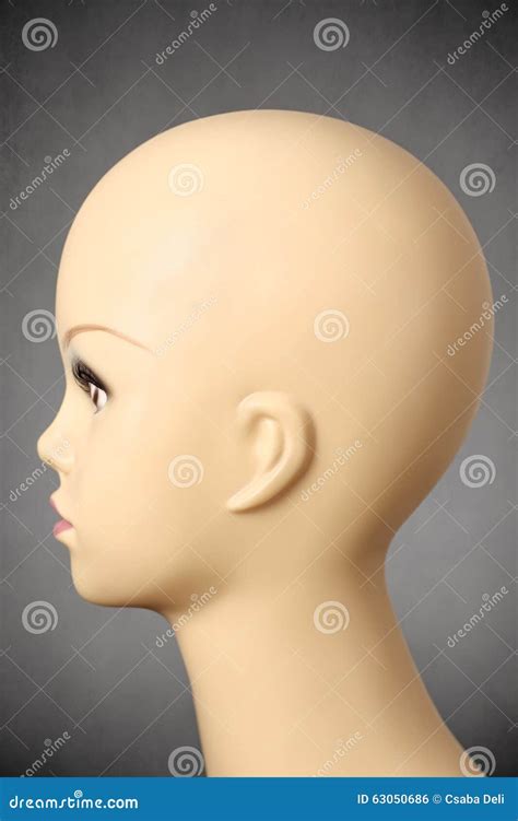 side view   female manikin head stock photo image