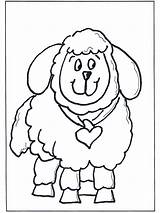 Pecora Schaap Sheep Desenhos Kleurplaat Colorir Ovelha Ovelhas Mouton Schaf Nukleuren Oveja Ovejita Rapariga Pequena Coloriage Dibujo Coloriages Animaux Pubblicità sketch template
