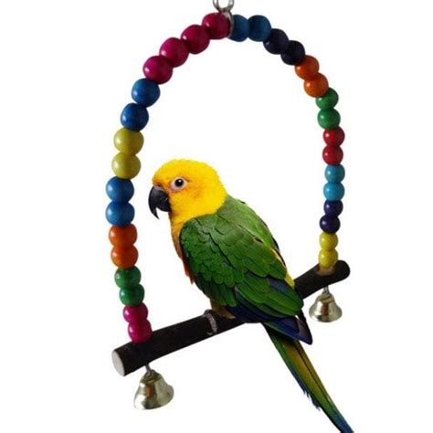 important parrots supplies   birds