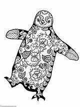 Penguin Coloring Pages Doodle Penguins Printable Animal Zentangle Book Printables Kids Party Without Cat Do Choose Board sketch template