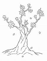 Blossom Cherry Tree Line Coloring Drawing Pages Simple Printable Drawings Clipart Lineart Japanese Kids Deviantart Dragon Description Popular sketch template