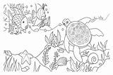 Coloring Seabed Pages Mar Do Fundo Print Para Colorir Corais sketch template