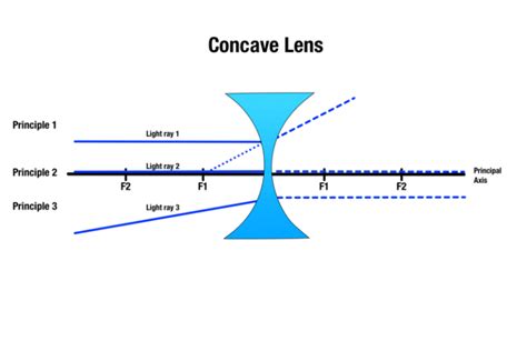 concave  convex whats  difference  word counter