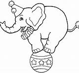 Elefante Pelota Encima Palla Cima Elefant Pilota Acrobat Fasching Acolore Circo Dibuix Balle Colorier Descargar Muster Zirkus sketch template