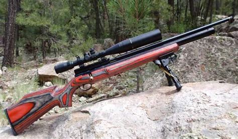 hunting air rifleswhat     pellet rifle  hunting