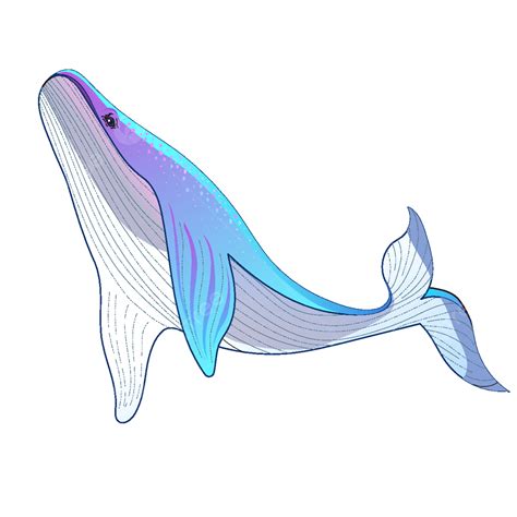 Gambar Vektor Ilustrasi Bahan Ikan Paus Besar Ai Garis Garis Bergaris