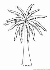 Coloring Palm Tree Pages Trees Kids Printable Drawing Color Natural Popular Getdrawings Library Clipart sketch template