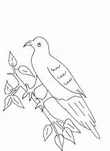 Pigeon Coloring Kids Printable Pdf Open Print  sketch template