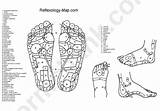Reflexology Foot Chart Advertisement sketch template
