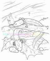 Salamander Eurycea Salamanders sketch template
