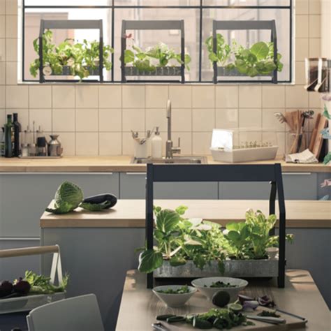 ikea launches hydroponic indoor gardening kit ideal home