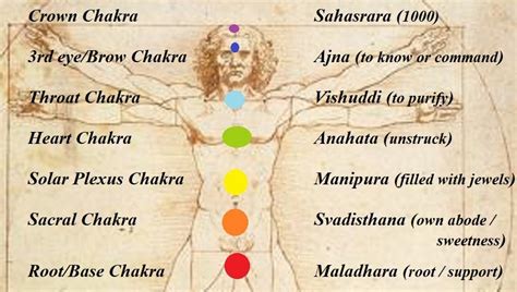 Chakras And The Human Body