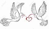 Doves Liefde Kissing Taube Heart Zeichnung Vogels Hartvormige Twee sketch template
