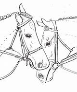 Coloring Horse Pages Two sketch template