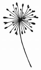 Allium Visit Dandelion Stencil sketch template