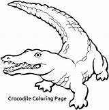Coloring Pages Croc Getdrawings sketch template