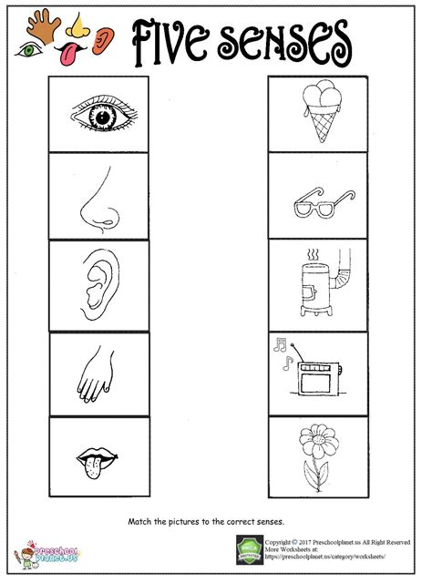 printable  senses worksheet preschoolplanet