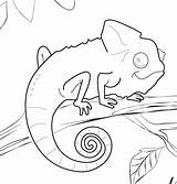 Chameleon Coloring Pages Bestcoloringpagesforkids Color Tree Animal sketch template