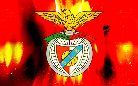 sl benfica hd wallpapers  backgrounds