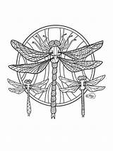 Dragonflies Flies Zentagle Zentangle sketch template