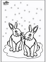 Winter Animals Pages Coloring Rabbits Printable Animal Color Colouring Template Funnycoloring Popular Advertisement sketch template