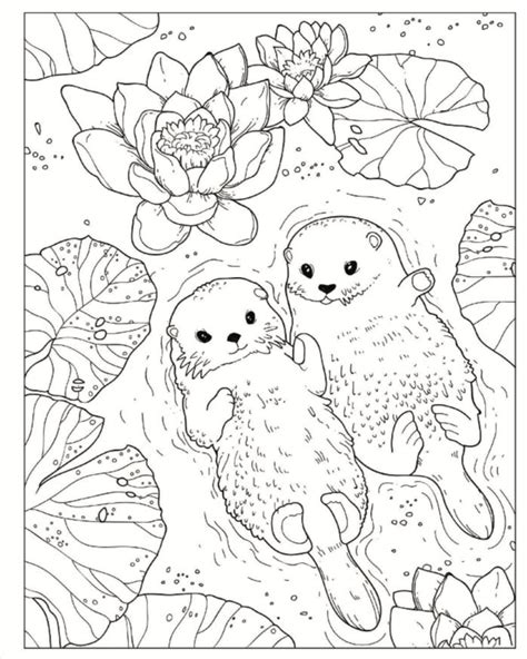 flowers coloring pages adult animals coloring pages