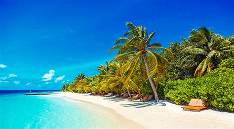 Lily Beach Resort Maldives Dive The Maldives Scuba Travel