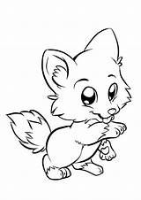 Coloring Pages Fox Baby Animated sketch template