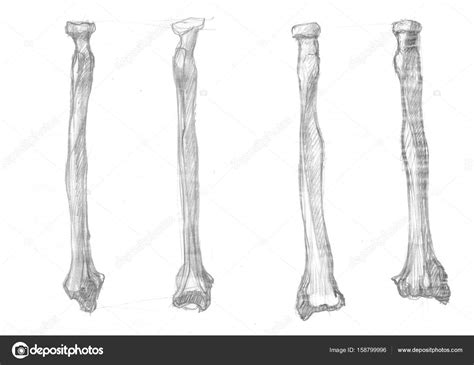 views  radius stock photo  richcat