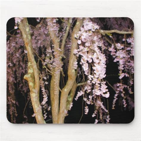 Pink Weeping Willow In The Night On A Spring Night Mousepads Zazzle
