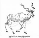Kudu Gograph sketch template