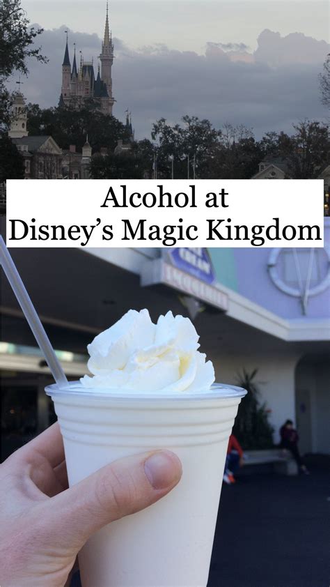 alcohol  disneys magic kingdom   magic kingdom disney magic kingdom travel preparation